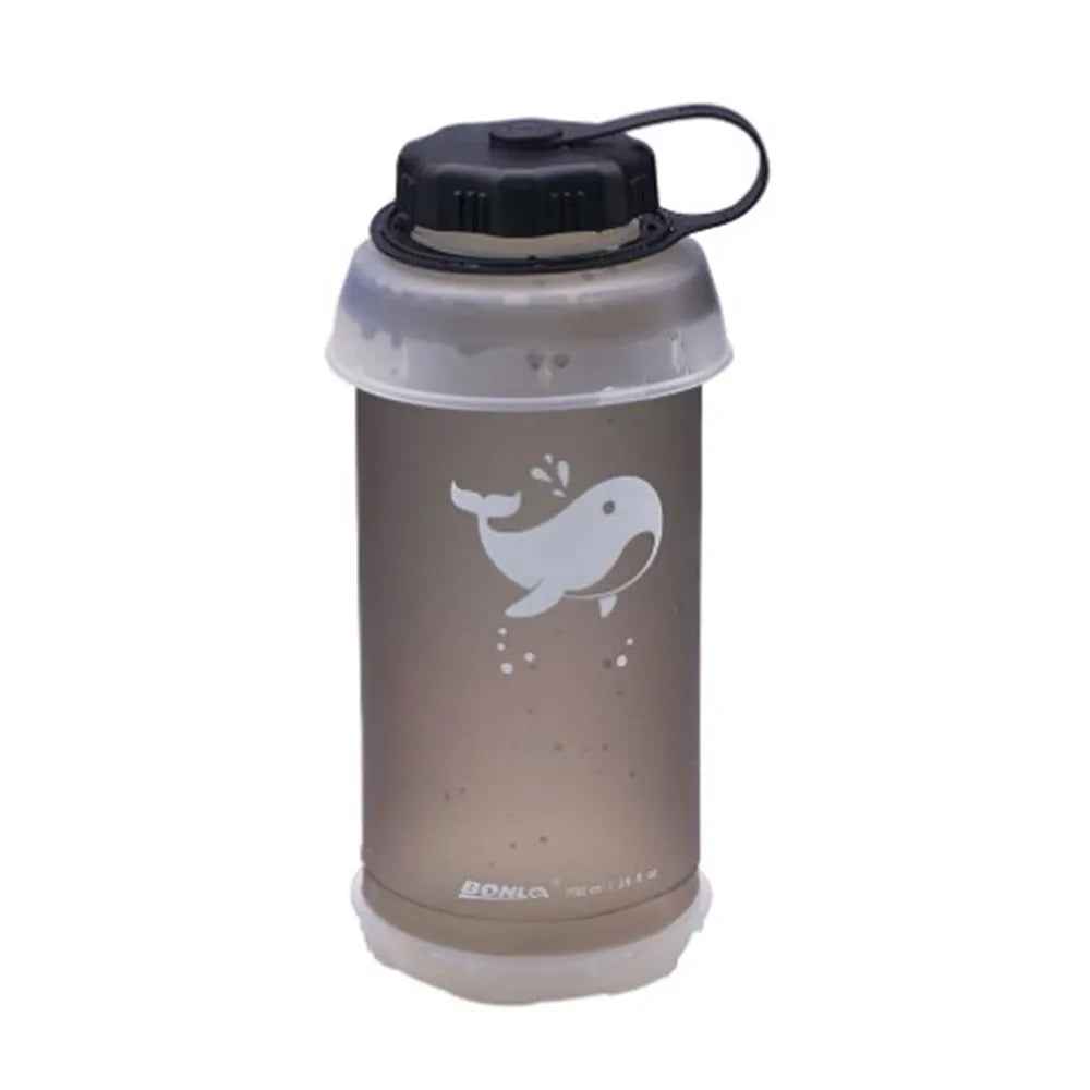 44389947212013|44389947244781|44389947277549