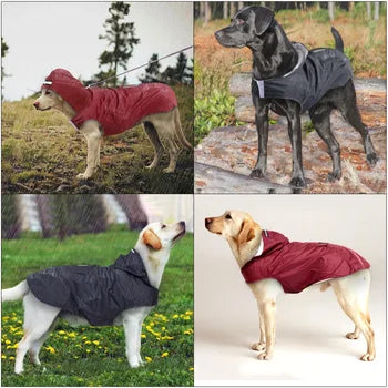 New Plastic Fashion Personalized Color Edge Costumes for Large Dogs