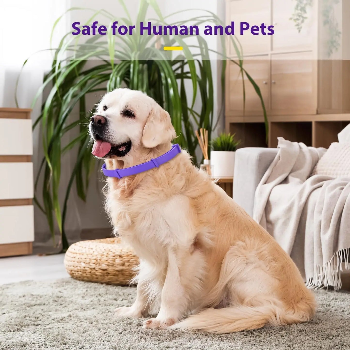 Dog Calming Collar with Natural Lavender & pheromones - 60 - day Anxiety Relief, Adjustable & waterproof