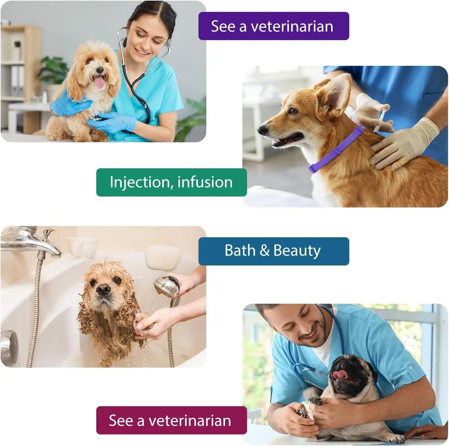 Dog Calming Collar with Natural Lavender & pheromones - 60 - day Anxiety Relief, Adjustable & waterproof