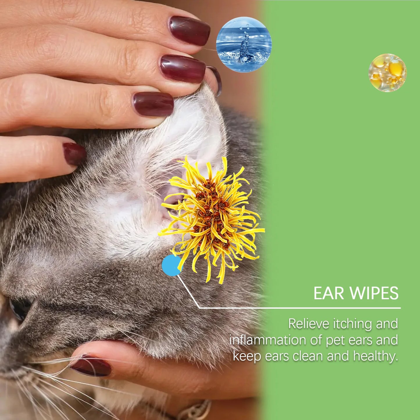 PawSoothe™ Hypoallergenic Ear Wipes – Gentle Cleaning for Dogs & Cats
