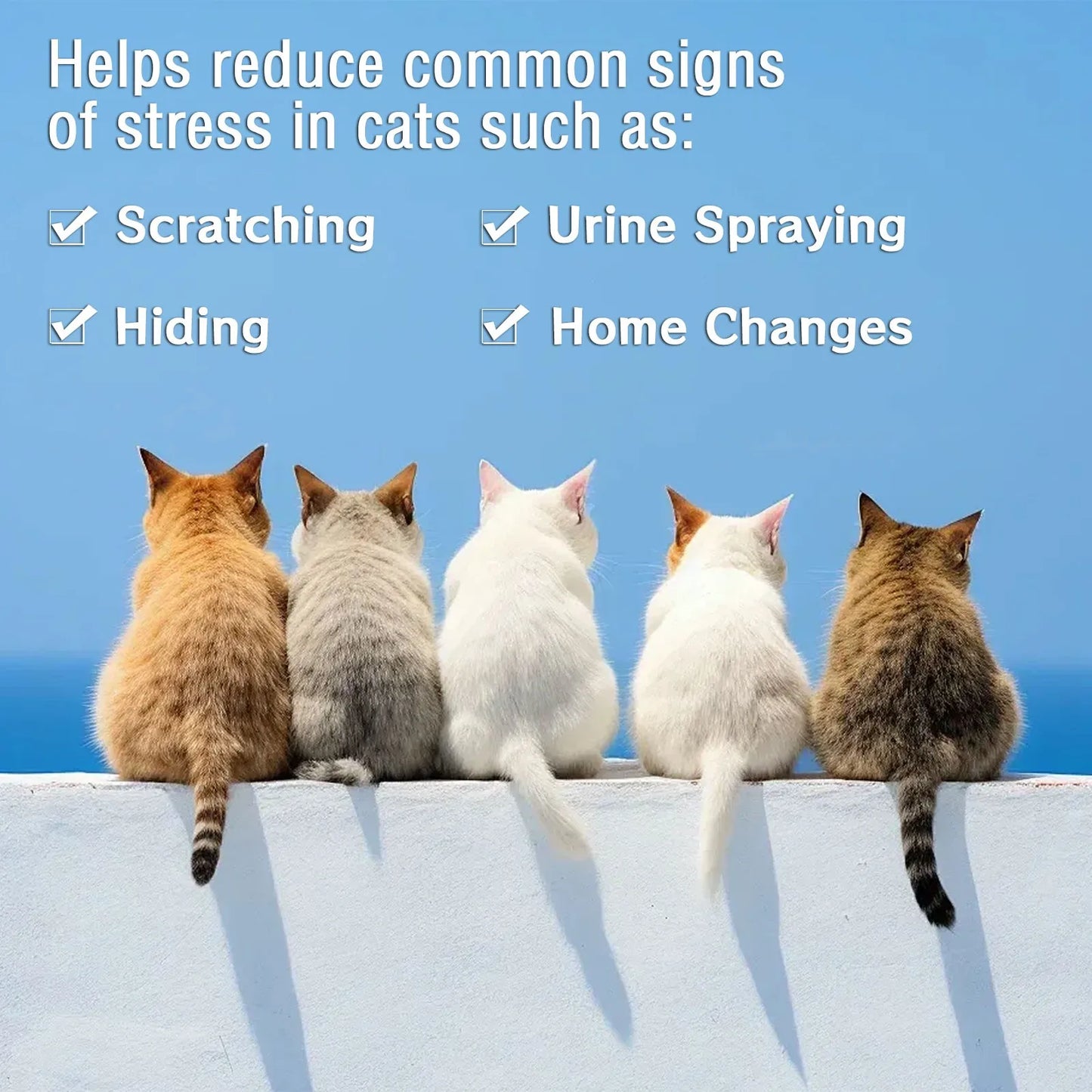 Cat Calming Diffuser Refill – 3 Pack 48 ml (30‑Day)