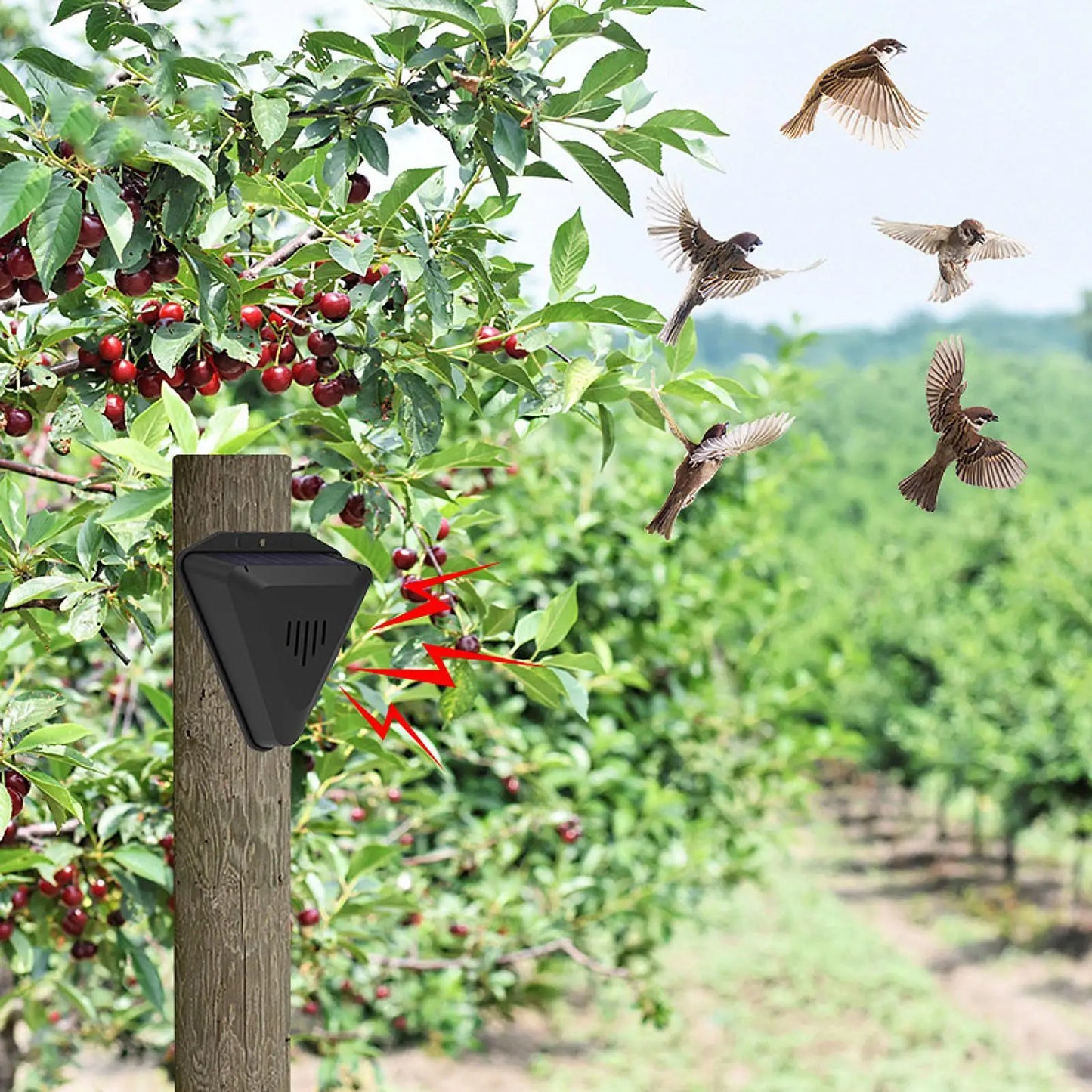 SolarGuard™ Bird & Animal Repeller – Solar Powered Yard & Farm Deterrent