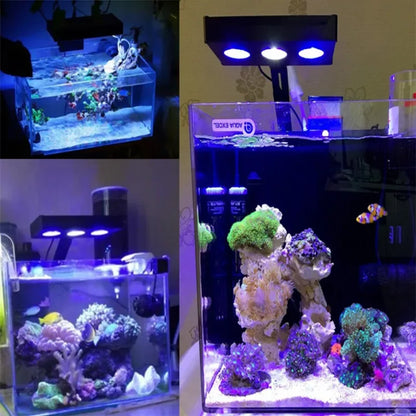 AquaLumina Touch Wave Reef Illuminator Spectra Nano 029 Aquarium Light 30W 40W Saltwater Lighting Tank Mobile WIFI Control