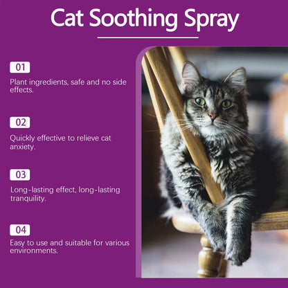 FelineCalm  60 ml Cat Soothing Spray – Stops Scratching & Urine Mistakes