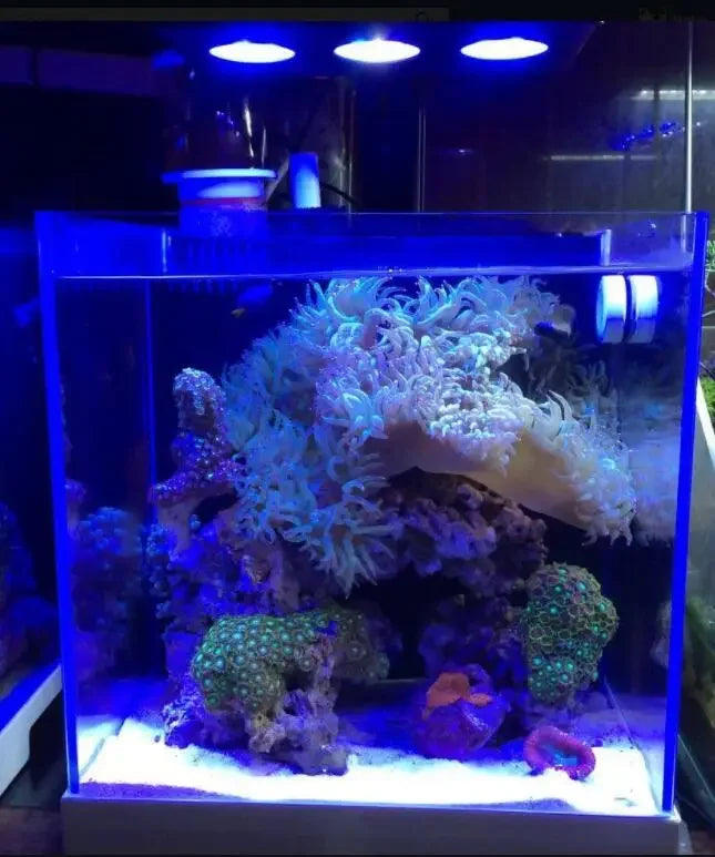 AquaLumina Touch Wave Reef Illuminator Spectra Nano 029 Aquarium Light 30W 40W Saltwater Lighting Tank Mobile WIFI Control