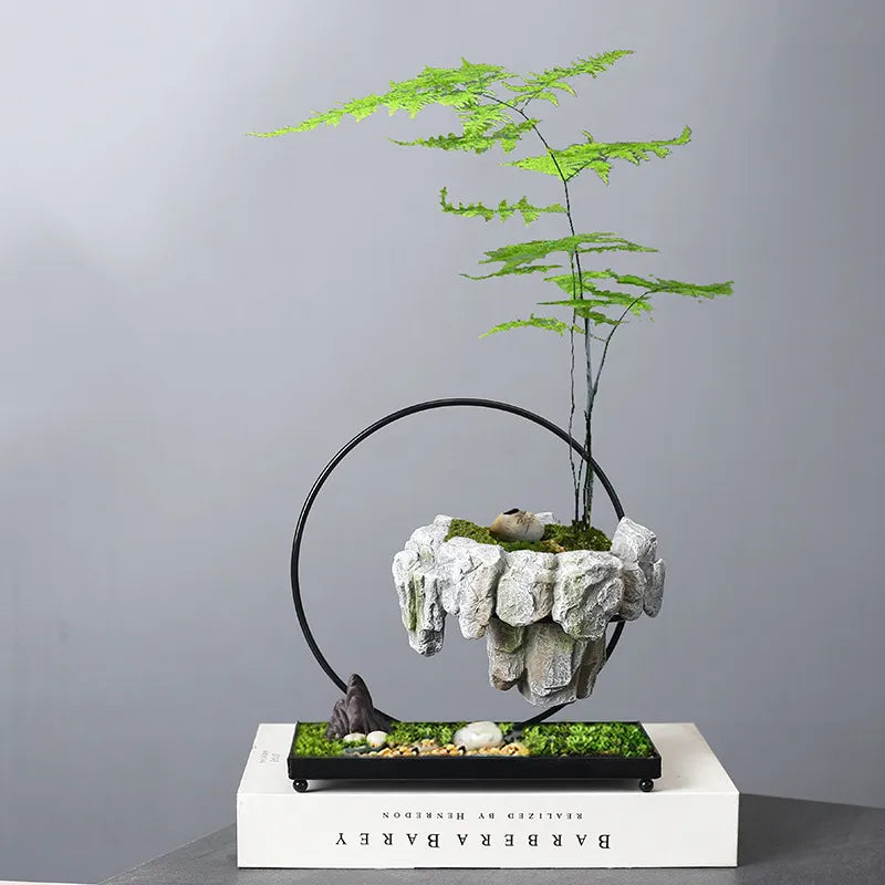 Pots Rich Tree Bonsai Rice Bamboo Indoor Floating Island Suspended Iron Micro Landscape Basin New
