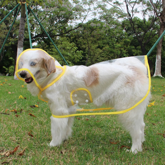 New Plastic Fashion Personalized Color Edge Costumes for Large Dogs
