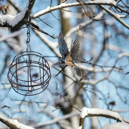 Suet Ball Feeder Bird Suet Balls Holder For Bird Feeding Metal Bird Feeder Fat Ball Bird Feeders Energy Suet Ball J5G5