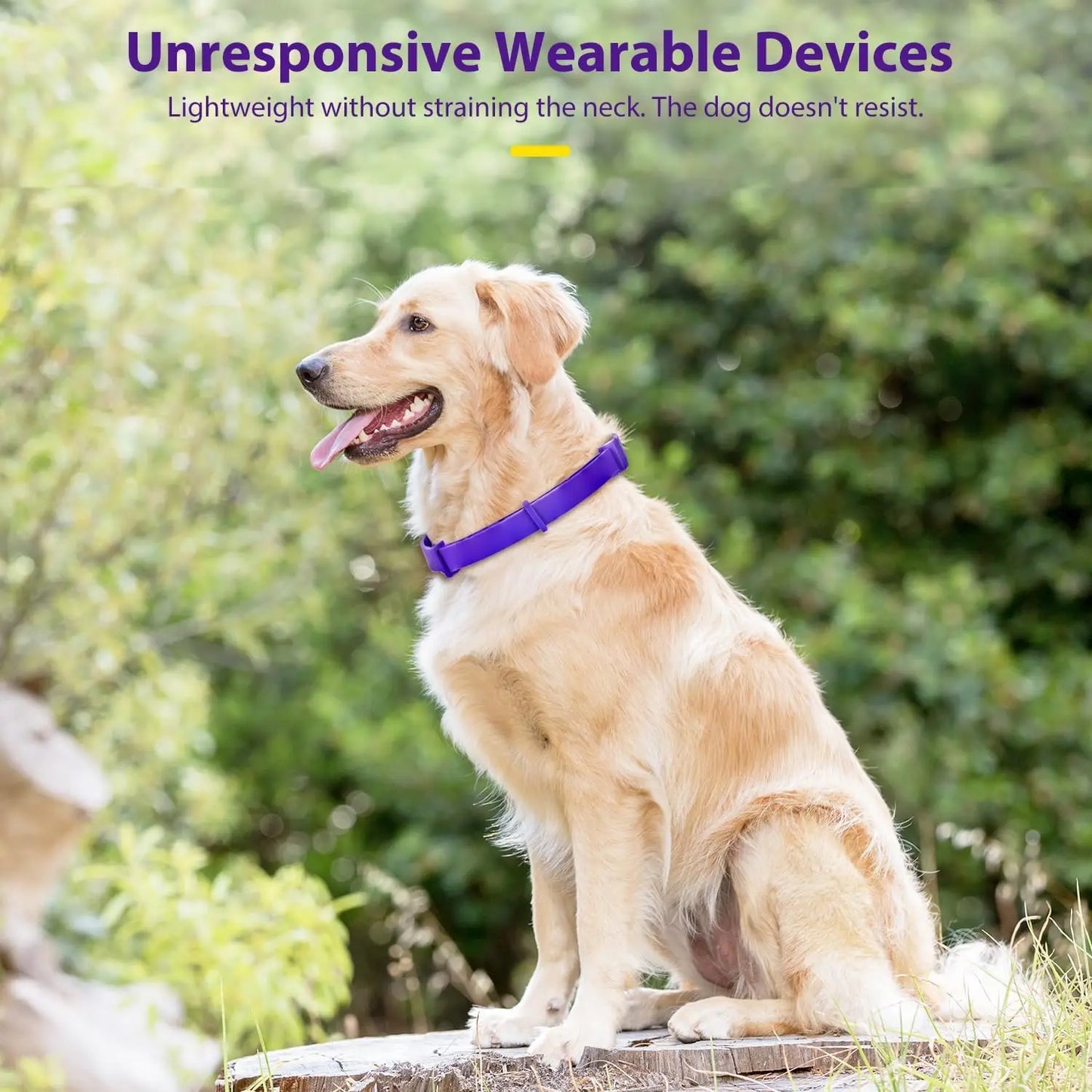 Dog Calming Collar with Natural Lavender & pheromones - 60 - day Anxiety Relief, Adjustable & waterproof