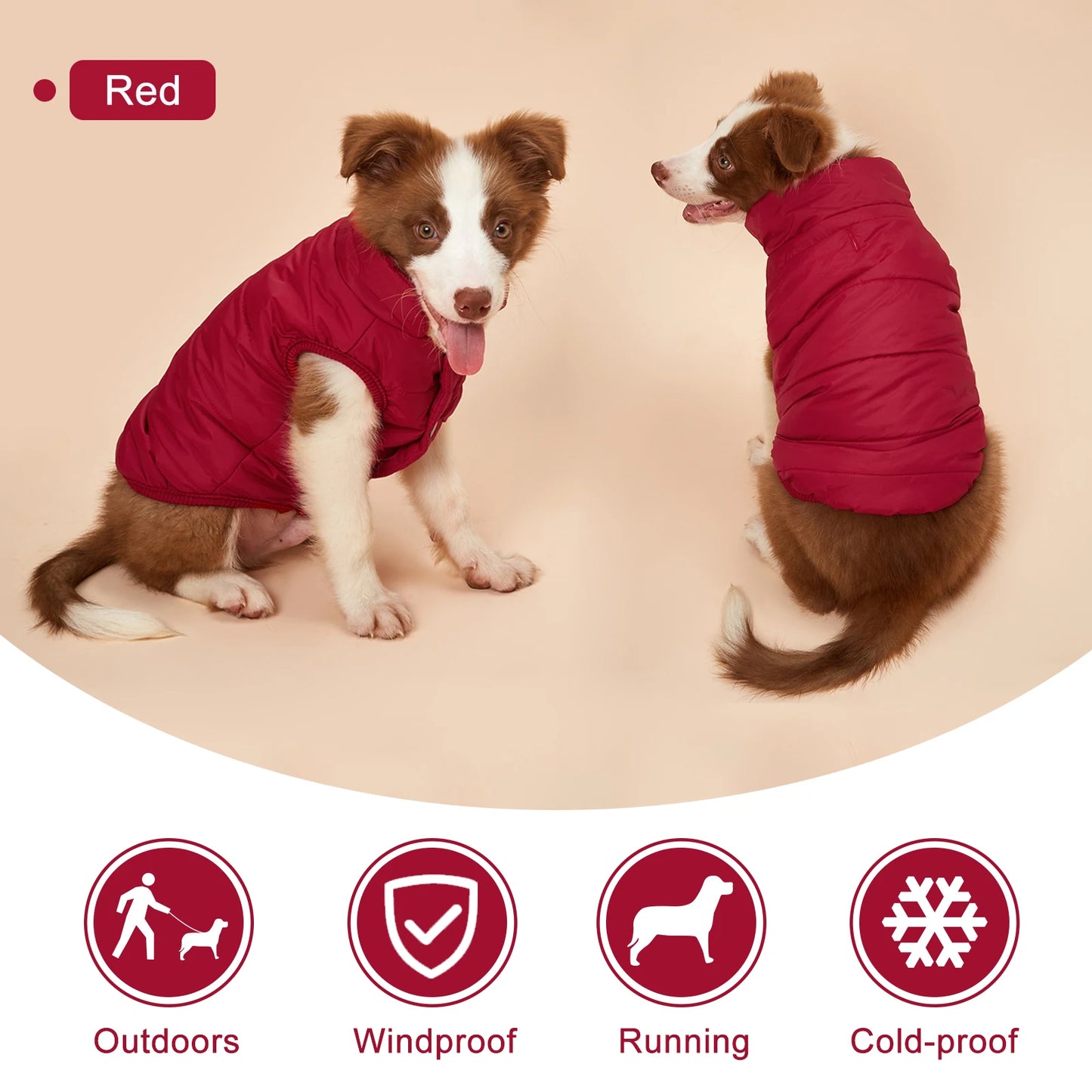 Proof Warm Dog Jacket with Fleece Cotton Lining Chihuahua French Bulldog Puppy Clothing Coat