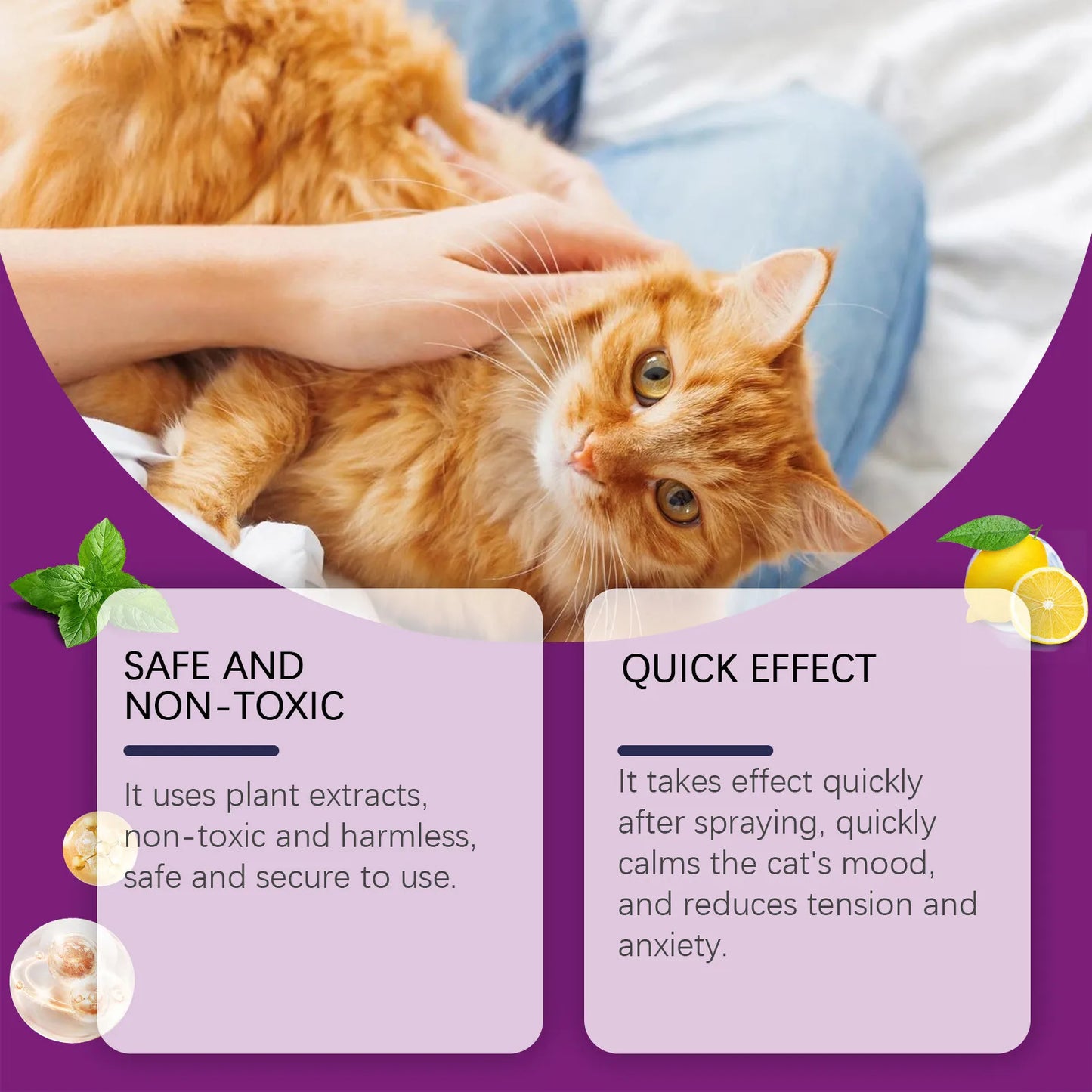 FelineCalm  60 ml Cat Soothing Spray – Stops Scratching & Urine Mistakes