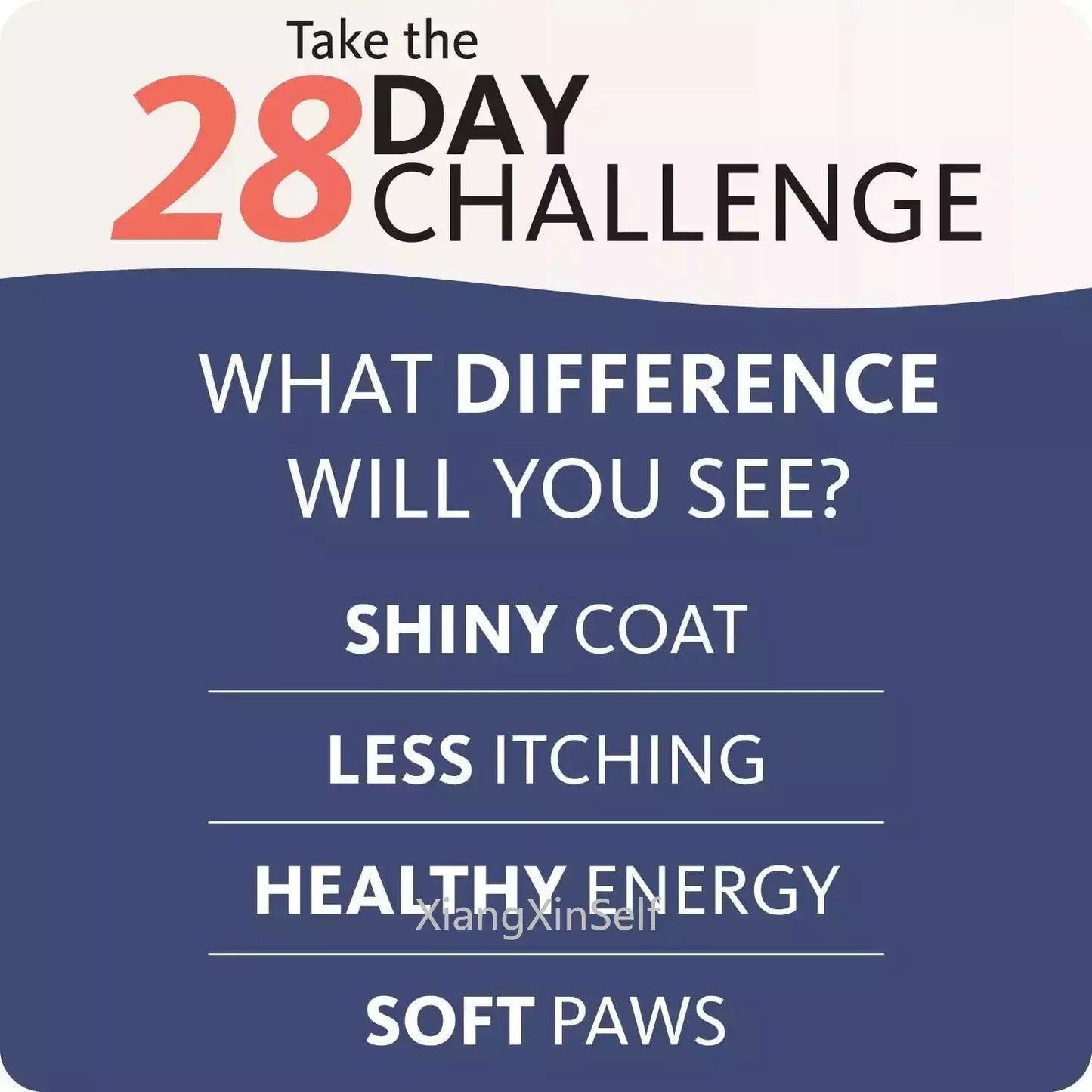 500ML 16.9 fl oz 21 Omega Fatty Acids Natural Salmon Oil Olor Human Grade Nutritional Supplement for Pet Dogs