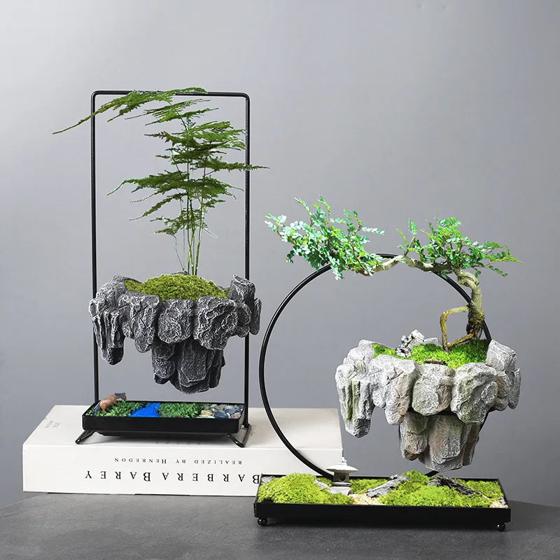 Pots Rich Tree Bonsai Rice Bamboo Indoor Floating Island Suspended Iron Micro Landscape Basin New