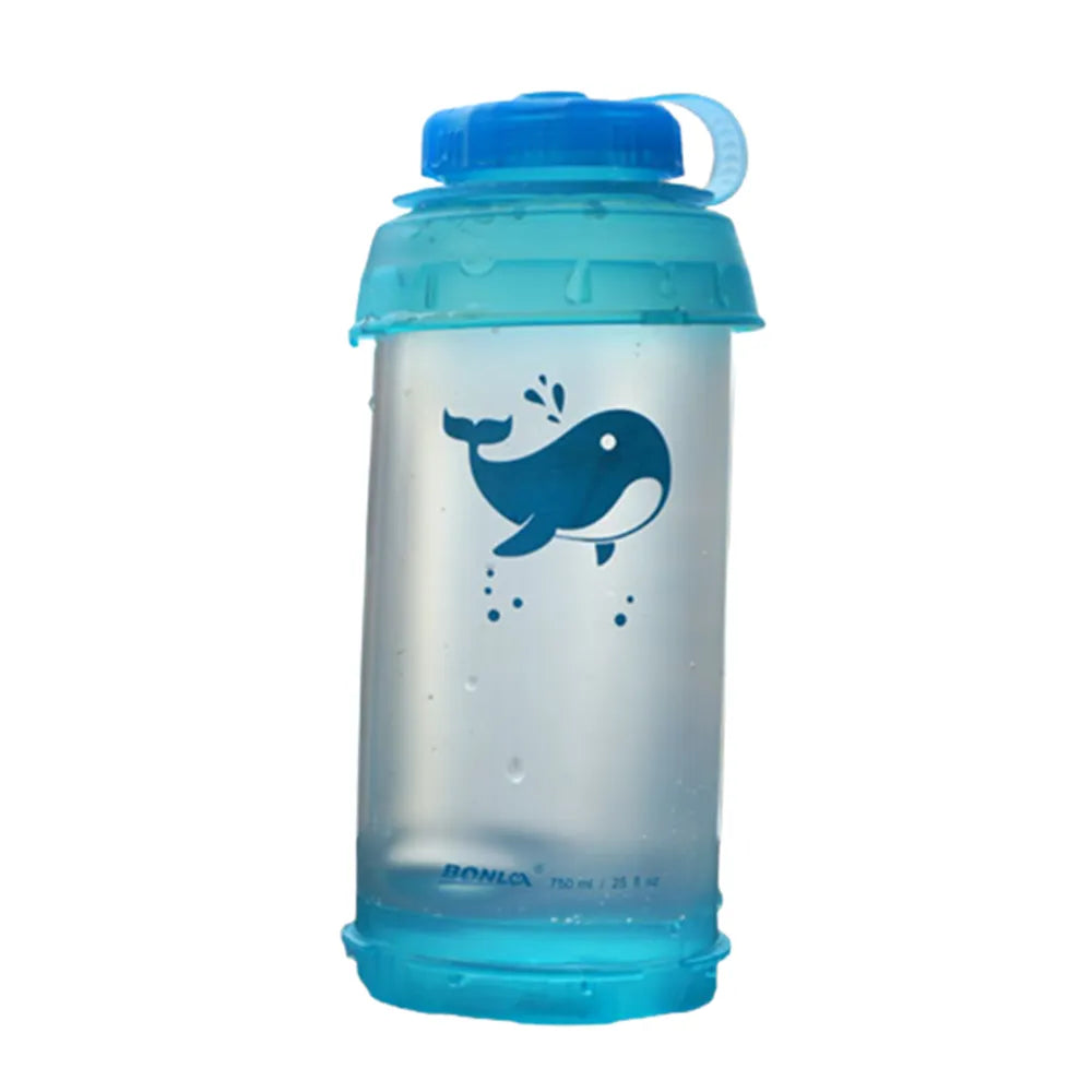 44389947113709|44389947146477|44389947179245