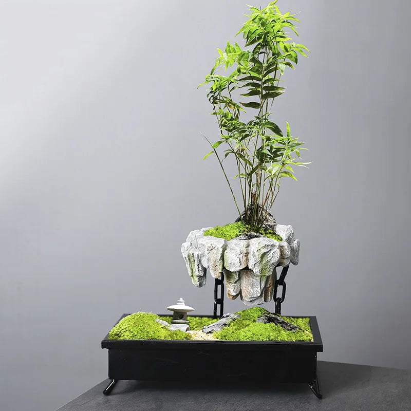 Pots Rich Tree Bonsai Rice Bamboo Indoor Floating Island Suspended Iron Micro Landscape Basin New