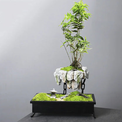 Pots Rich Tree Bonsai Rice Bamboo Indoor Floating Island Suspended Iron Micro Landscape Basin New