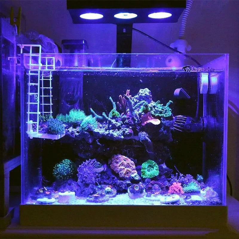 AquaLumina Touch Wave Reef Illuminator Spectra Nano 029 Aquarium Light 30W 40W Saltwater Lighting Tank Mobile WIFI Control