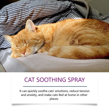 FelineCalm  60 ml Cat Soothing Spray – Stops Scratching & Urine Mistakes