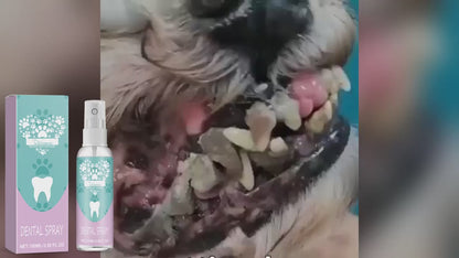 🥇 FreshPaw™ Dental Spray – Gentle Plaque & Tartar Remover for Dogs & Cats